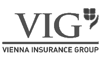 Vienna Insurance Group